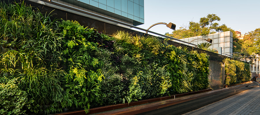 services_vertical-garden_top_new